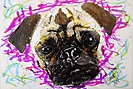 CARLINO