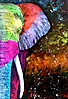 elefante