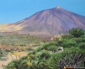 Teide y retamas