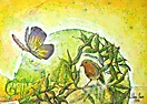Selección Series