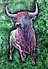 toro