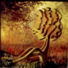 ARBOREOS