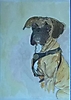 Jacques