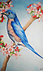 Pájaro azul
