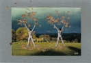 Postal de Otoño 4