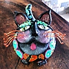 gato