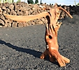 Tronco