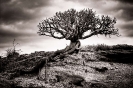 Paisajes