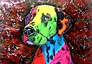 DALMATA