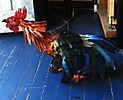 Gallo de pelea