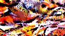 FRACTALES 4