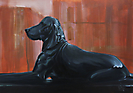 Los perros de Santa Ana III.