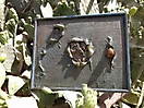 retoño