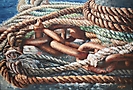 Cuerdas y cadena
