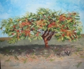 Árbol y perro