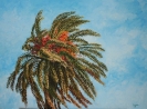 Palmera al viento