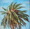 Palmera al viento III