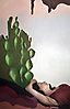 Cactusueños III