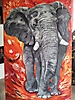 elefante