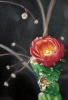 Flor de higo pico
