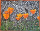 Las amapolas