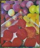 Las fresas