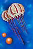 Medusas