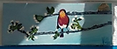 Pajarito pio pio 