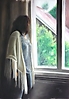 La ventana