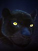 Pantera Negra