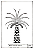 -Nombre de la Obra:-La Palmera Canaria.