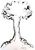Arbol
