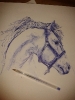 Caballo