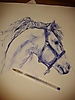 caballo